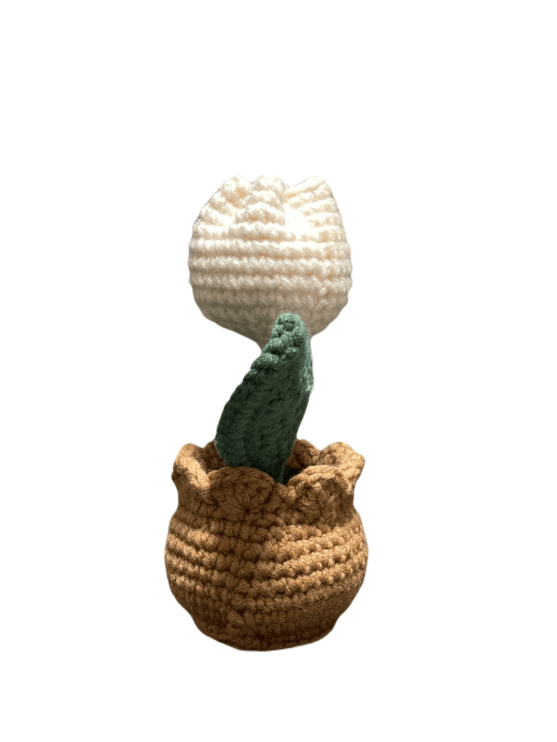 Handmade Crochet Tulip in Pot - Unique Treasures